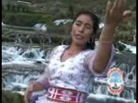 Una Silvadita (La pampina de Oro)