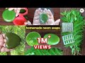 Perfect Neem Soap Making At Home Homemade Neem Soap For Clean Bright And Pimples Free Skin
