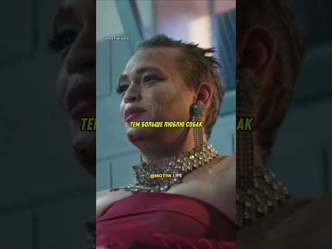 Чем больше узнаю людей, тем больше люблю собак 🦮 #верность #лучшийдругчеловека #догмен