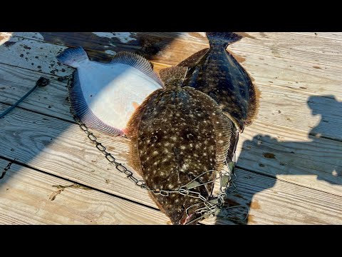 OPENING SEASON FLUKE FISHING! SINGLE JIG OWNS ALL!