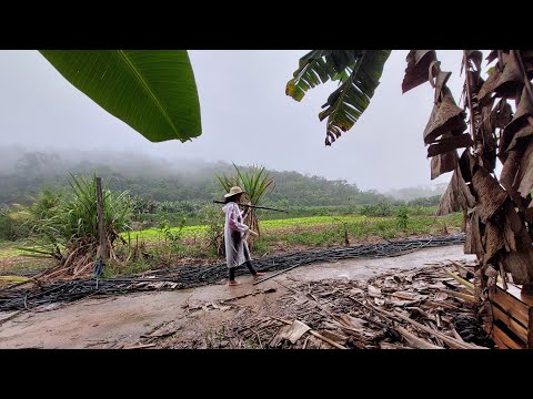 What we do on a rainy day in the countryside - Cleide Lifestyle