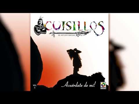 Banda Cuisillos - Ya No Me Mires Así (Visualizador Oficial)
