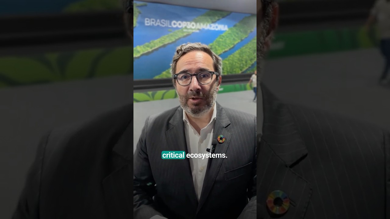 COP30 | Protecting forests starts with people