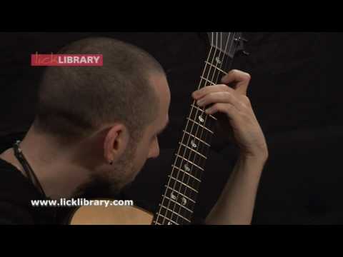 Erik Mongrain - A Ripple Effect - Live Guitar Performance Licklibrary