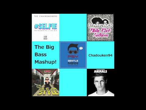The Big Bass Mashup! (The Chainsmokers, LMFAO, Psy and Martin Garrix)