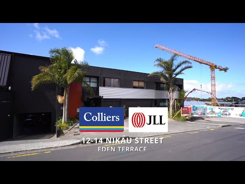 12-14 Nikau Street, Eden Terrace