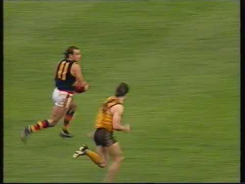 Round 21 Hawthorn VS Adelaide Crows 1993 Jason Dunstall 100 Goals Tony McGuinness