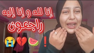 They Stopped the Stream and Cut Our Livelihood 💔How Do We Survive in Gaza Without the Channel? 💔😭🍉❗