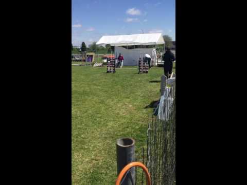 CACM May 14 Grand Prix