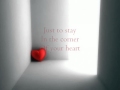 Ingrid Michaelson - Corner Of Your Heart (with lyrics)