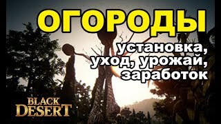 Как приготовить прикормку в блэк десерт