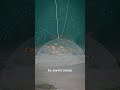 How A Cast Net Works