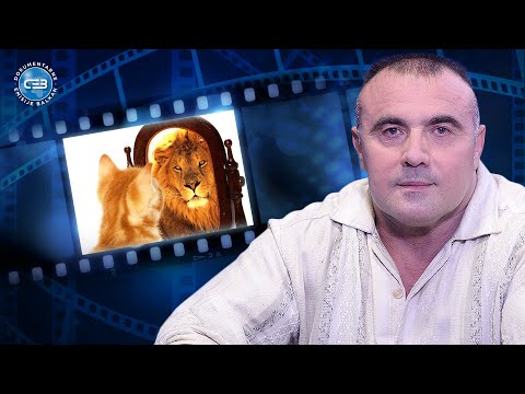 BALKAN INFO: Zoran Vejić - Dosta je sujete u bodibildingu, ali telo otkriva ko zaista vredi!