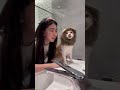 Cute Animals Trending Ep 4298
