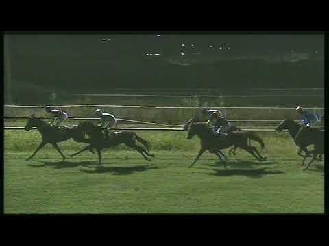 Galoppo 19/08/2020 - 5ª corsa