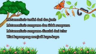 Download lagu Lagu metamorfosis mp3 Download lagu Lagu metamorfosis mp3