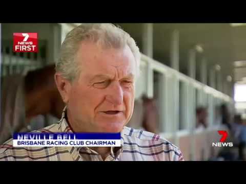 BRC Stables - Members Open Day