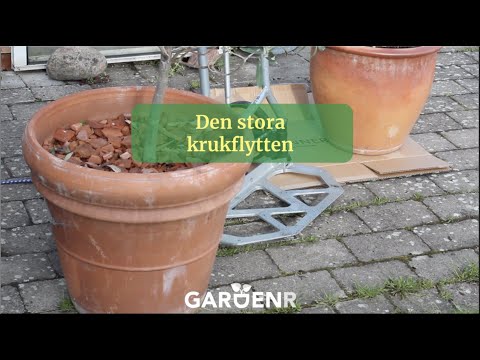 Den stora krukflytten - Trädgårdshacks med GardenR