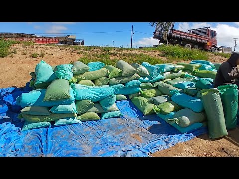 FEIRA DE RACAO MAS BARATO E SAL EM CAPOEIRAS 12  PERNAMBUCO de junho de 2026