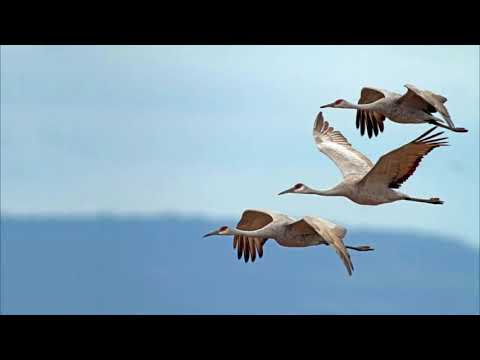 Ansambel Tulivesi - Mäletad kevadet