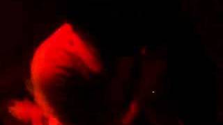 gotta gotta give it up - cute is what we aim for