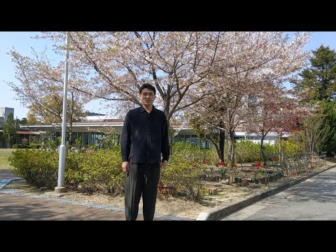 京都文教短期大学 幼児教育学科　保育のための造形　授業テーマ／自然観察ー自然物(葉、花、石など)を使ってグラデーションをつくろう。