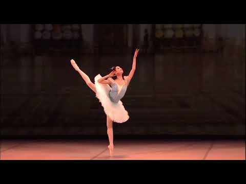 SLEEPING BEAUTY - Princess Florine Variation (Renata Shakirova - Mariinsky Ballet)
