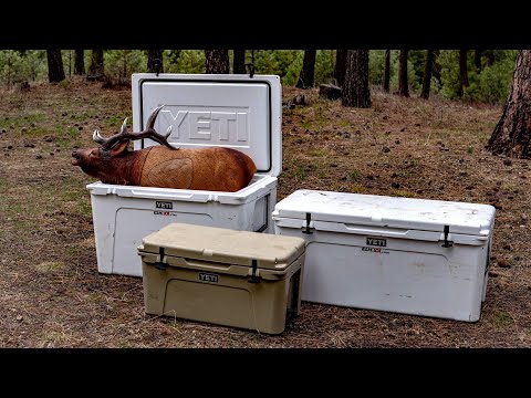 What Size Cooler for an Elk?