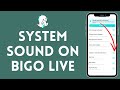 How To Enable System Sound In Bigo Live 2026