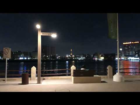 Mysterious dubai by night