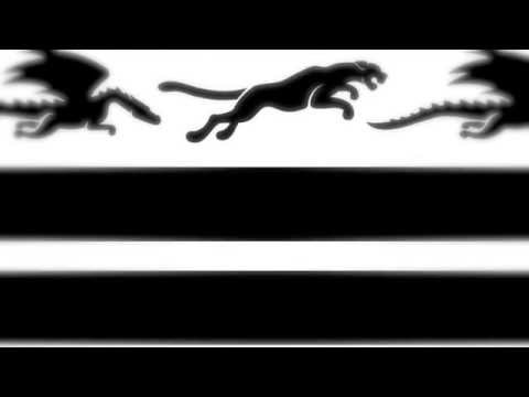 Two Dragons and a Cheetah - Poetry and Light [OFFICIAL LYRIC VIDEO]