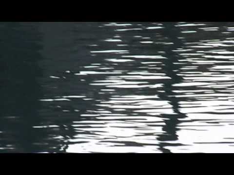 „Plovi barko“ old Croatian Folk Song