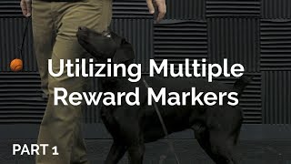 Ryan demonstrating the value of using multiple rew