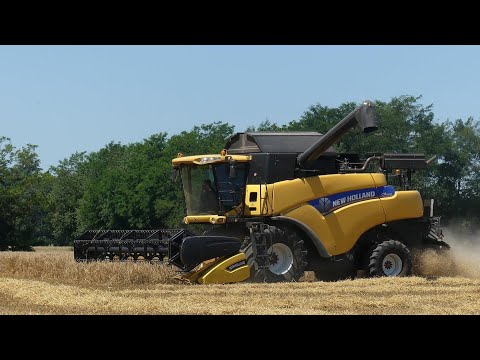 Trebbiatura Orzo 2020 /Barley Harvest / New Holland CR 8070 / Cova /Società Agricola Ferrazzi & Cova