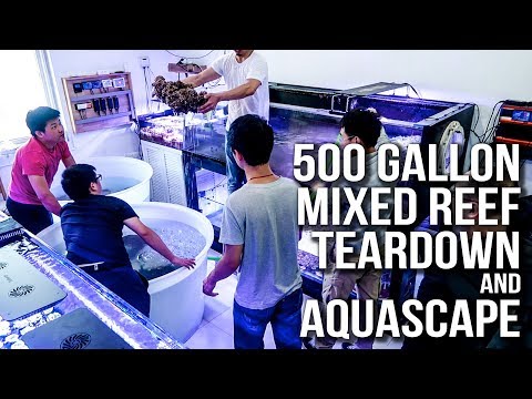 500 Gallon Reef tank Tear Down and Aquascape