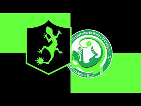 BARRA CALANGOS - Aquarela Maquinada (MÚSICA NOVA - TECO19)