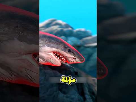 السر الصادم وراء أفضل شوربة في العالم 🤯 #shortvideo