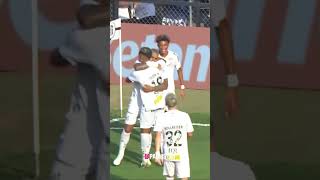 OS GOLS DE SANTOS E NOVORIZONTINO!