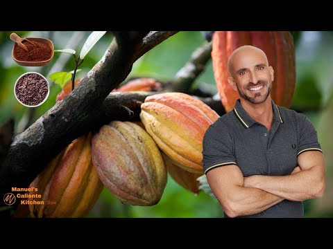 Peruvian Cacao: The Ultimate Cacao for Chocolate Lovers