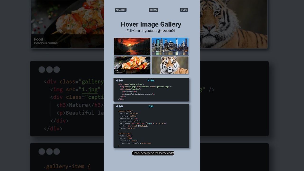 Create a Stunning Hover Image Gallery with CSS – Easy Tutorial (2025)  #shorts #cssshorts #webdesign