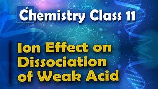 Ion Effect on Dissociation of Weak Acid - Chemical Equilibrium - Chemistry Class 11