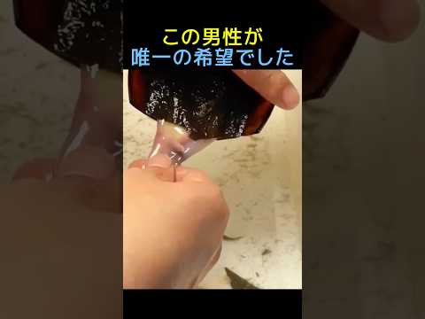 この男性が唯一の希望でした🦈 #感動する話 #動物動画 #動物