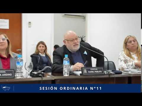 SESIÓN ORDINARIA N° 11