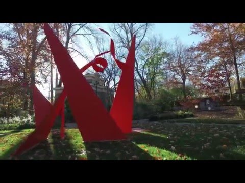 youtube embeded image