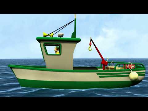 MEDIOS DE TRANSPORTE - ACUÁTICOS