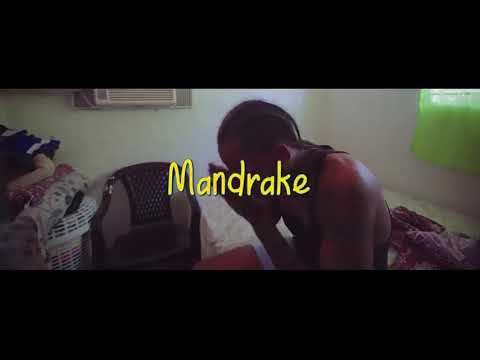 Mandrake El Malocorita  - Mi Mami de Miami Prod Nítido En el Nintendo
