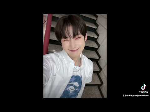 Introduction to Sunoo