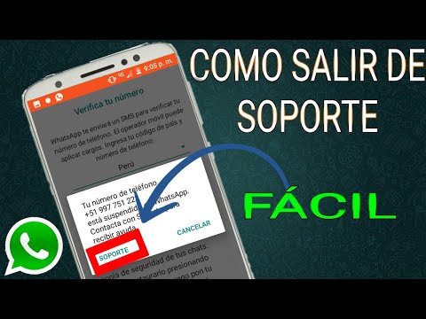 download lagu mp3 mp4 Numero De Soporte, download lagu Numero De Soporte gratis, unduh video klip Download Numero De Soporte Mp3 dan Mp4 Full Gratis
