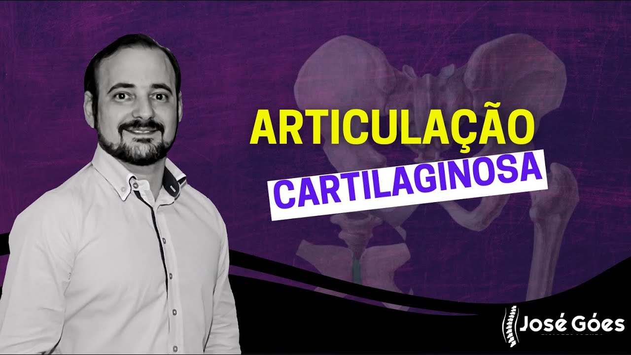 Articulação cartilaginosa | José Góes