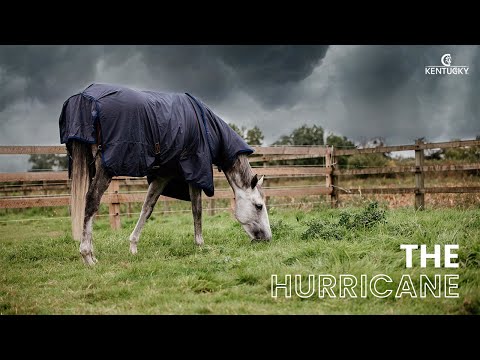 The Hurricane - Kentucky Horsewear